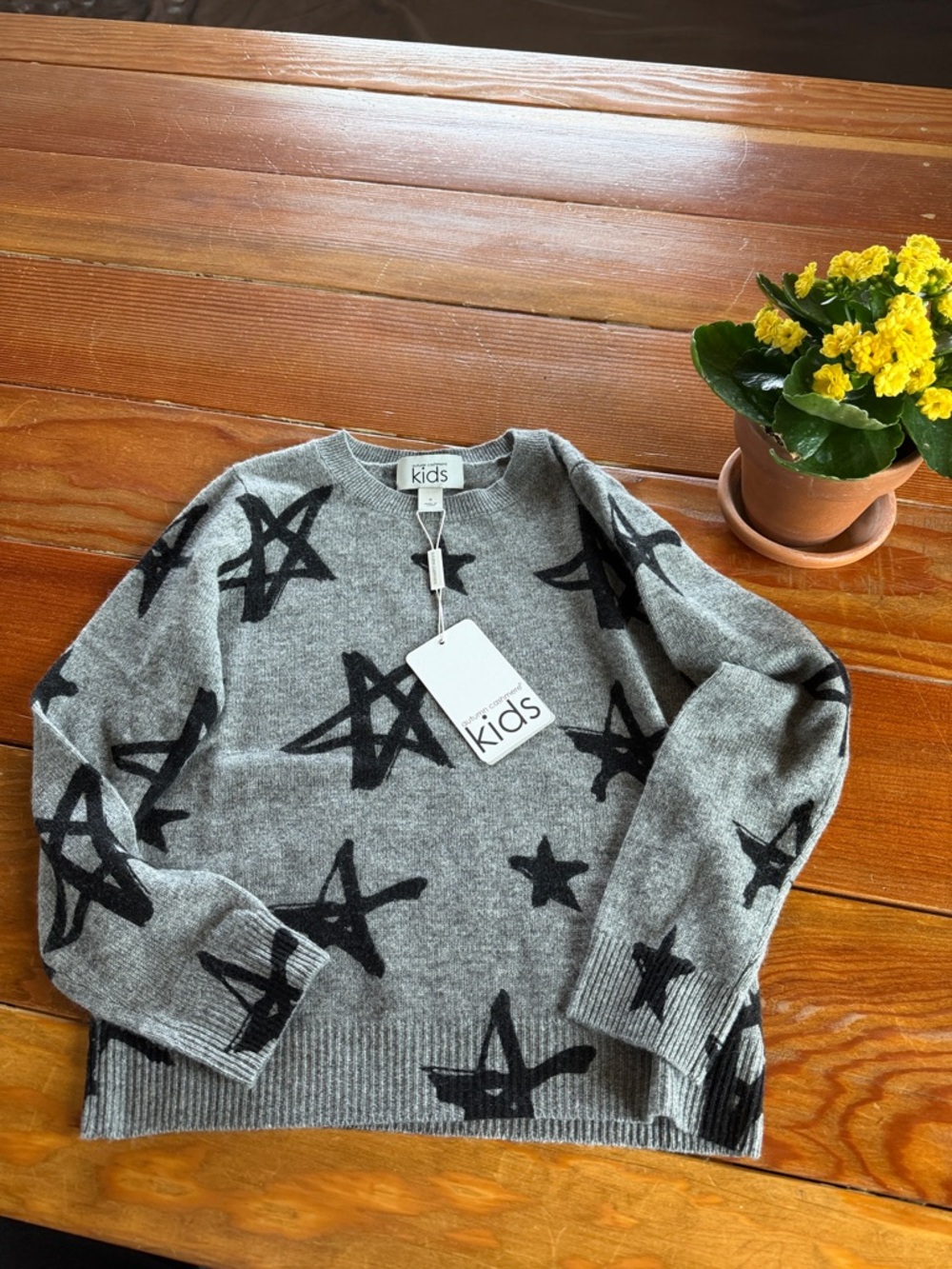 Autumn Cashmere Kids - Star Sweater NWT